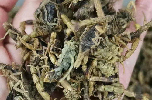 河南中药材可以放在冰箱里保存吗？